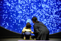 First aquarium