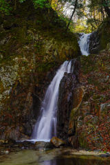 木戸川渓谷１２　明神滝