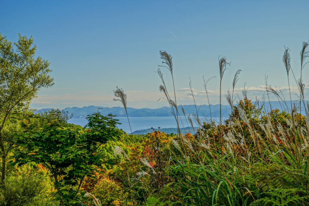 滑滝展望台より