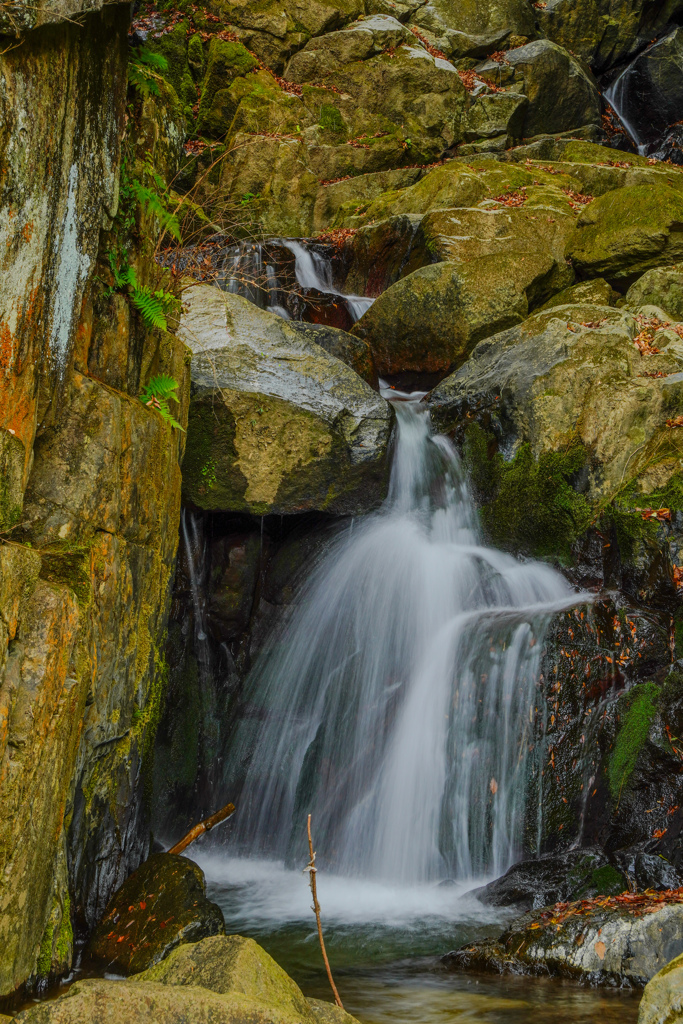 百々目木の滝２