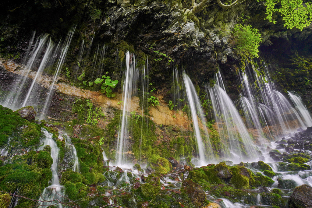 大野川湧水１