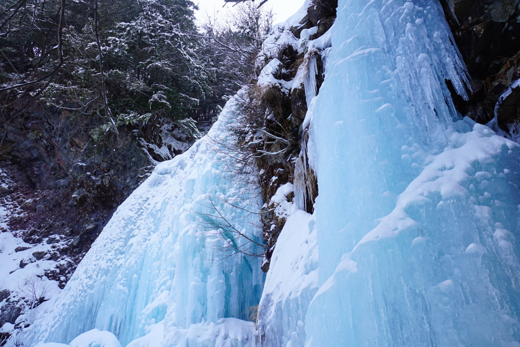 BLUE  FALL 2