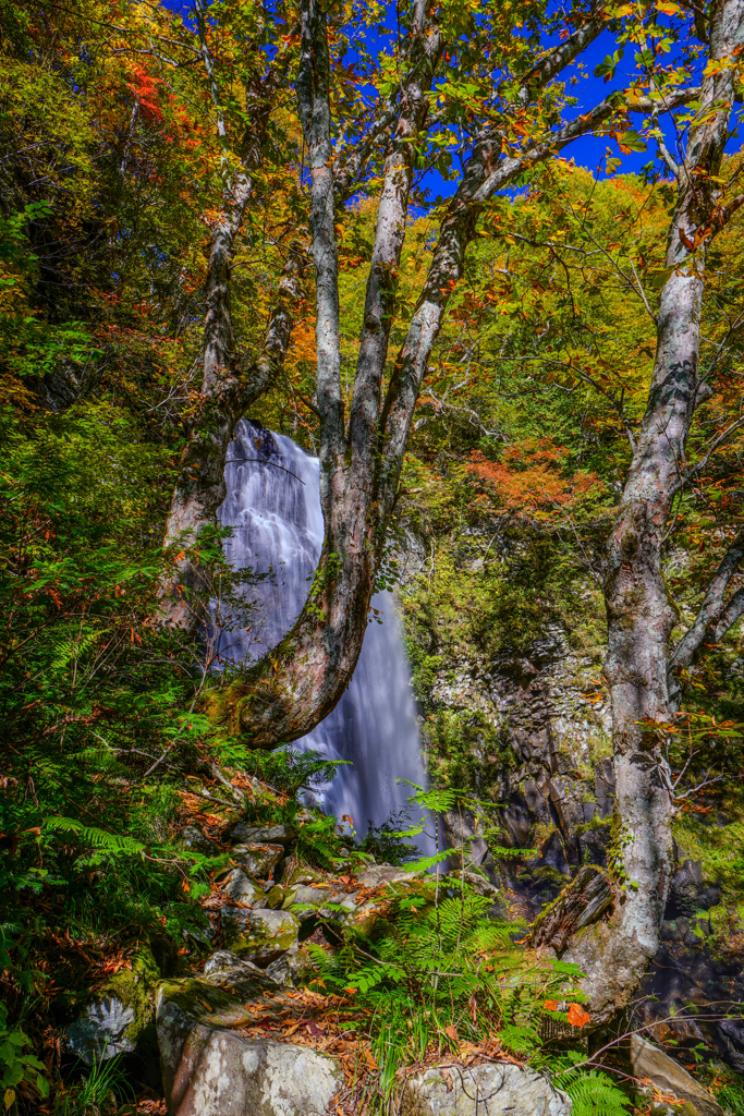 小野川不動滝６