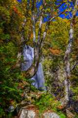 小野川不動滝６