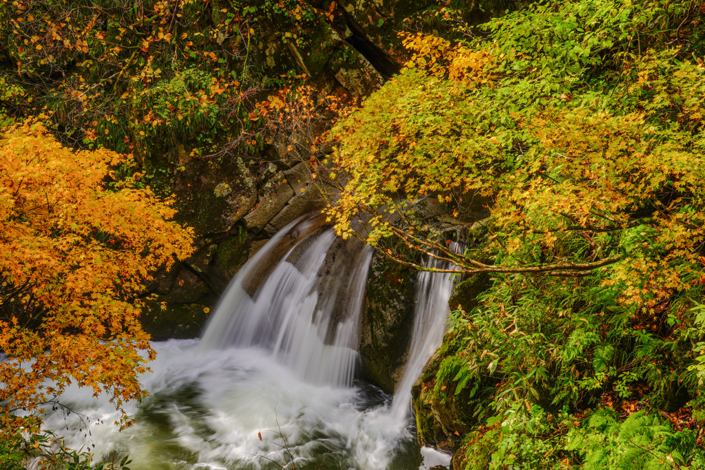 県内で紅葉狩り６　千座川一の滝