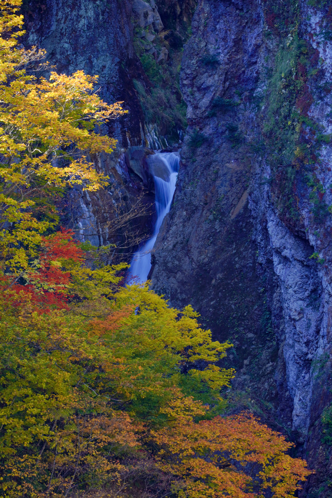 秋の滝旅20　権現滝