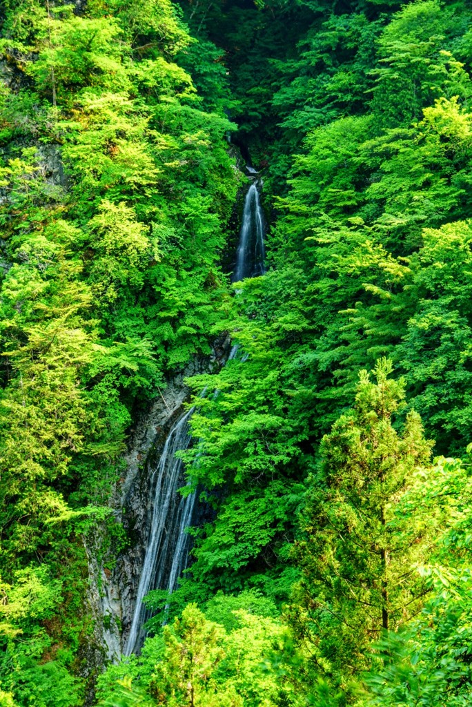 丸神の滝(埼玉県小鹿野町)