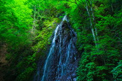 華水の滝(東京都檜原村)