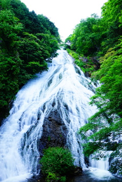 湯滝(日光市)