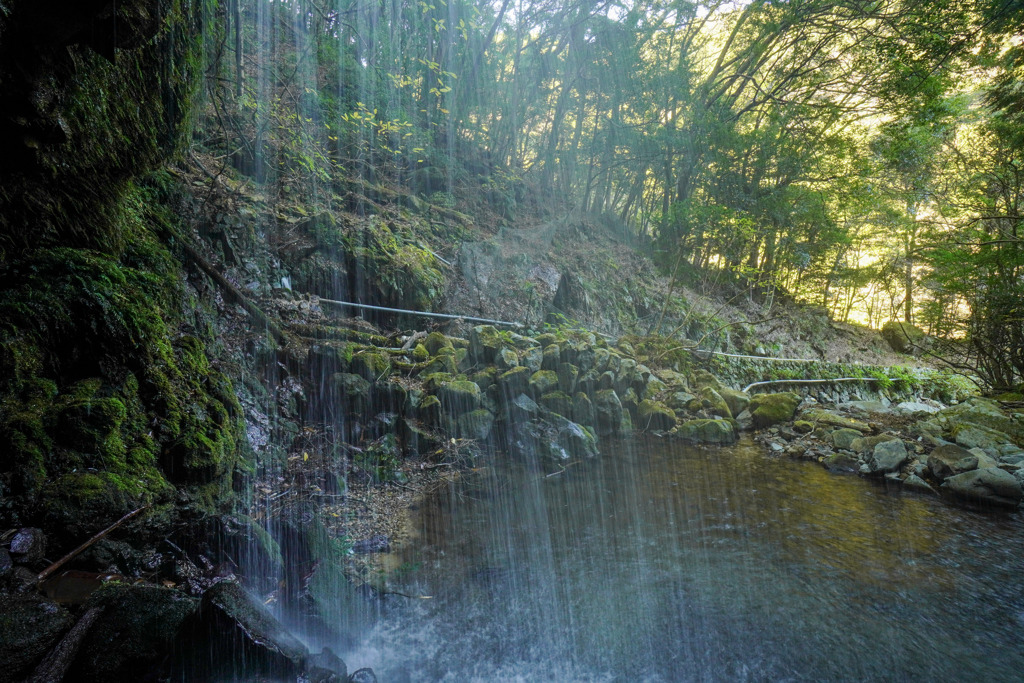諸坪沢の滝３