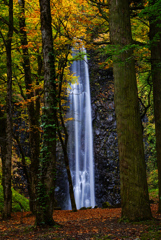 紅葉の玉簾の滝２