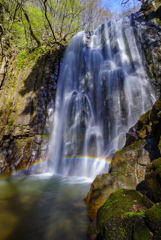 SPRING RAINBOW ２