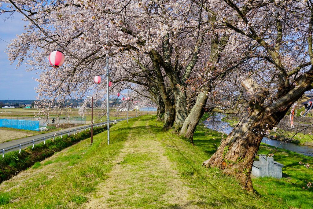 中山河川公園２