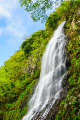 天滝(兵庫県養父市)