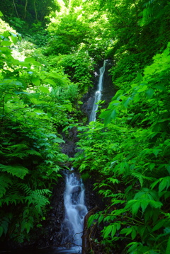 湯の沢大滝(新潟県柏崎市)