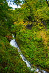 まぼろしの大滝(山形県鮭川村)