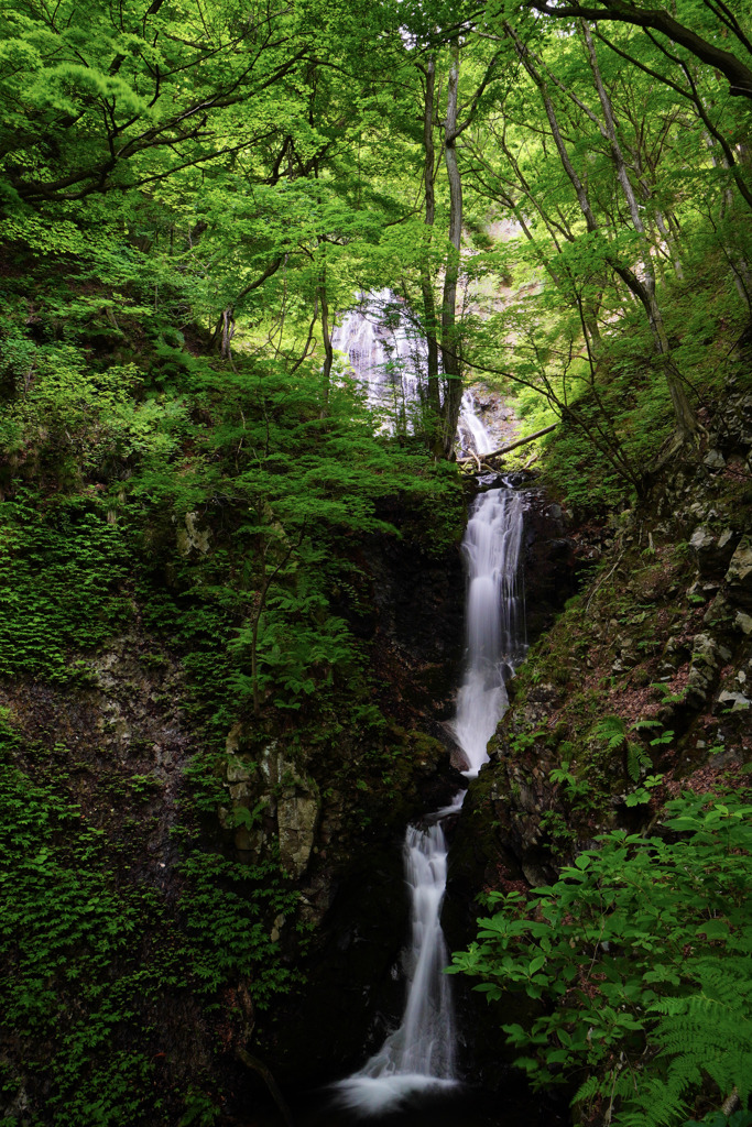 ６月滝巡り９　小根津戸の滝(雄滝)