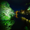 弘前城公園１