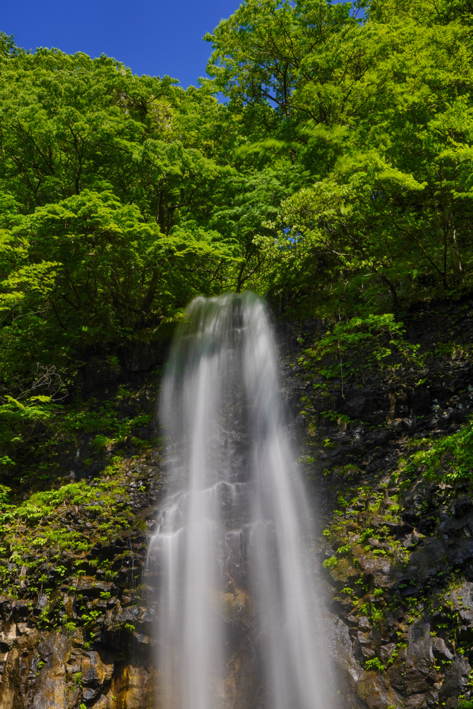 玉簾の滝８