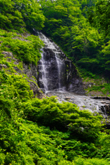杉倉の滝(上滝)