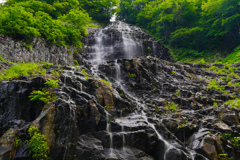 杉倉の滝１