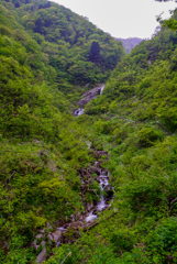 福井旅行  仏御前の滝