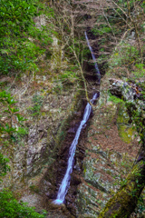 木戸川渓谷３　九竜の滝