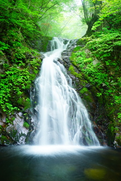 白糸の滝(日光市)