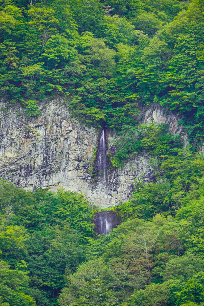 唐滝