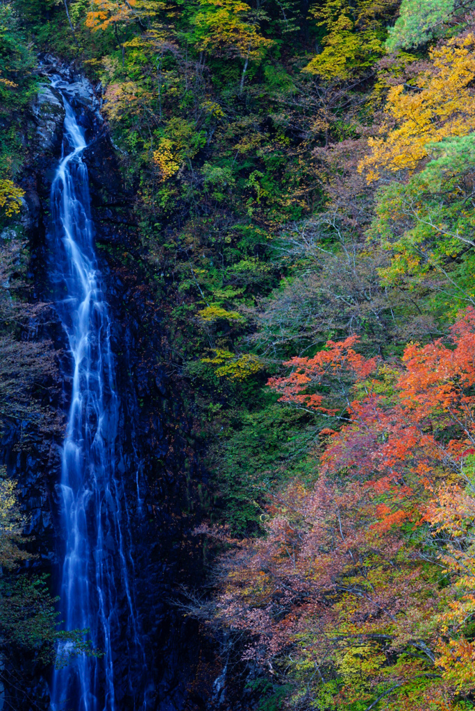 紅葉と滝
