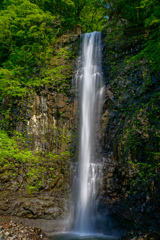 玉簾の滝４