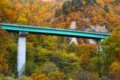 県内で紅葉狩り２　大井沢
