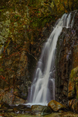 木戸川渓谷１５　明神滝