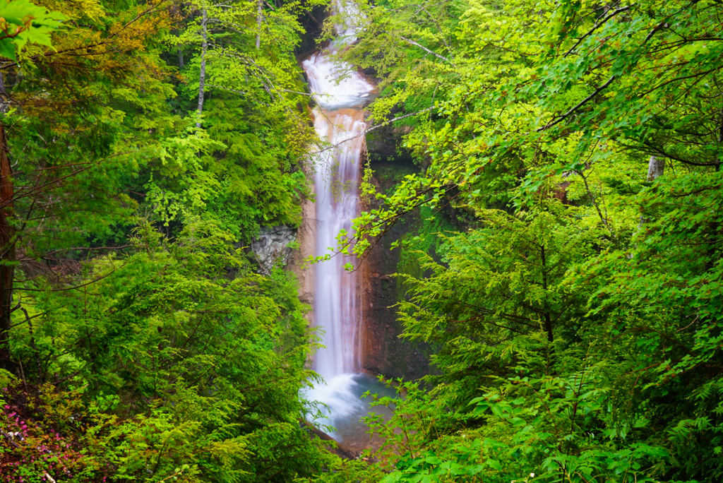 緋の滝 (岐阜県下呂市小坂町)