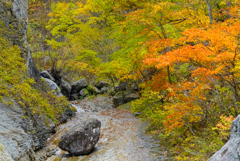 滑川大滝８