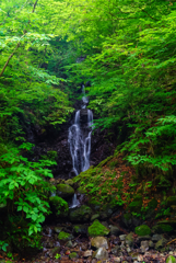 清涼の滝 (静岡県富士宮市)