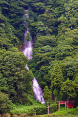 雨後３