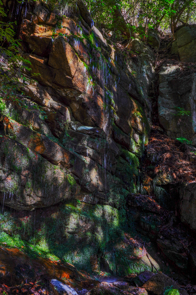 浜通りで滝巡り５　荒澤滝