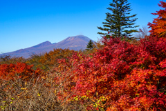 11月滝巡り番外編３  旧碓氷峠見晴台