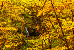 素廉の滝(栃木県那須塩原市)