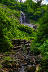 杉倉の滝２