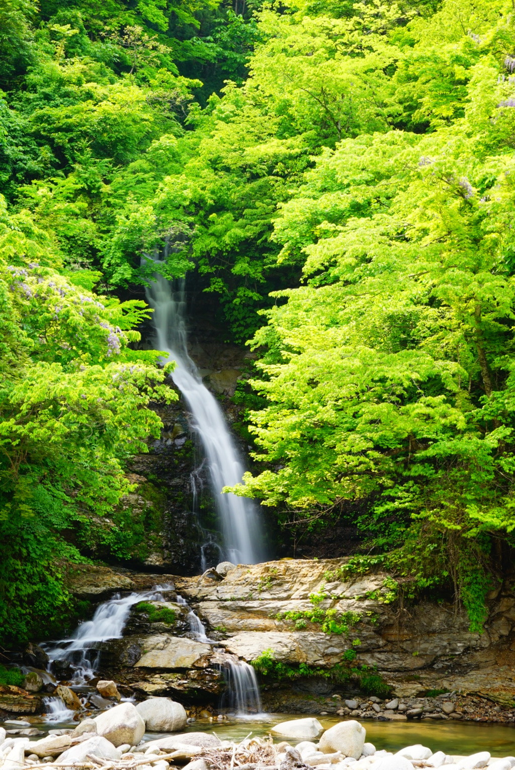 五枚田の滝(山形県朝日町)