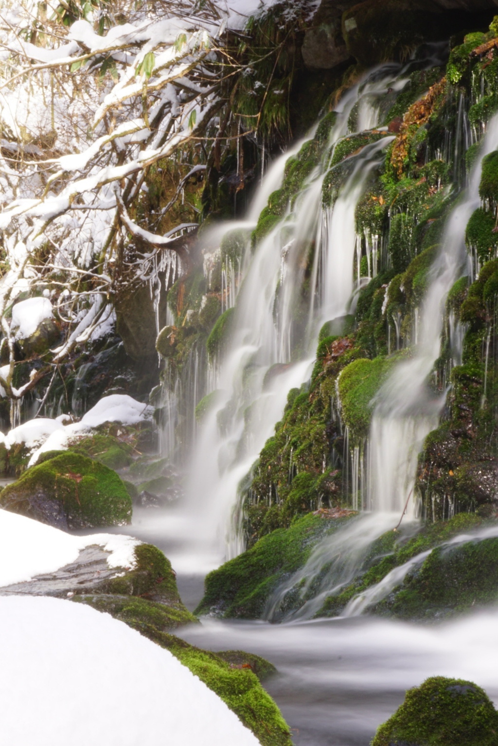 元滝伏流水(冬)