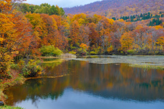 県内で紅葉狩り１　地蔵沼
