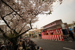 前田桜祭り　