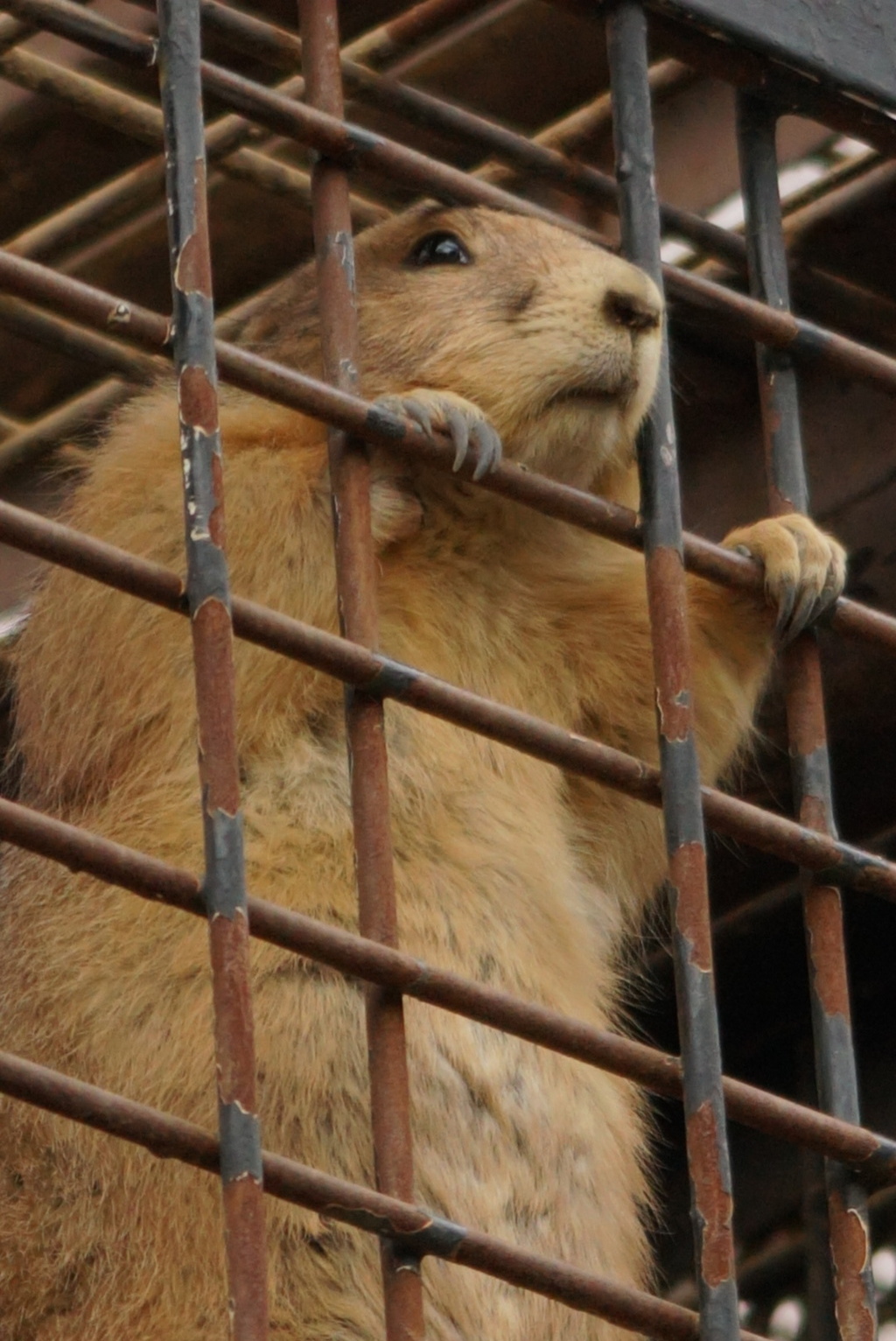 母さん……色々あったけど僕は元気です