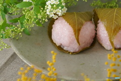 桜餅2