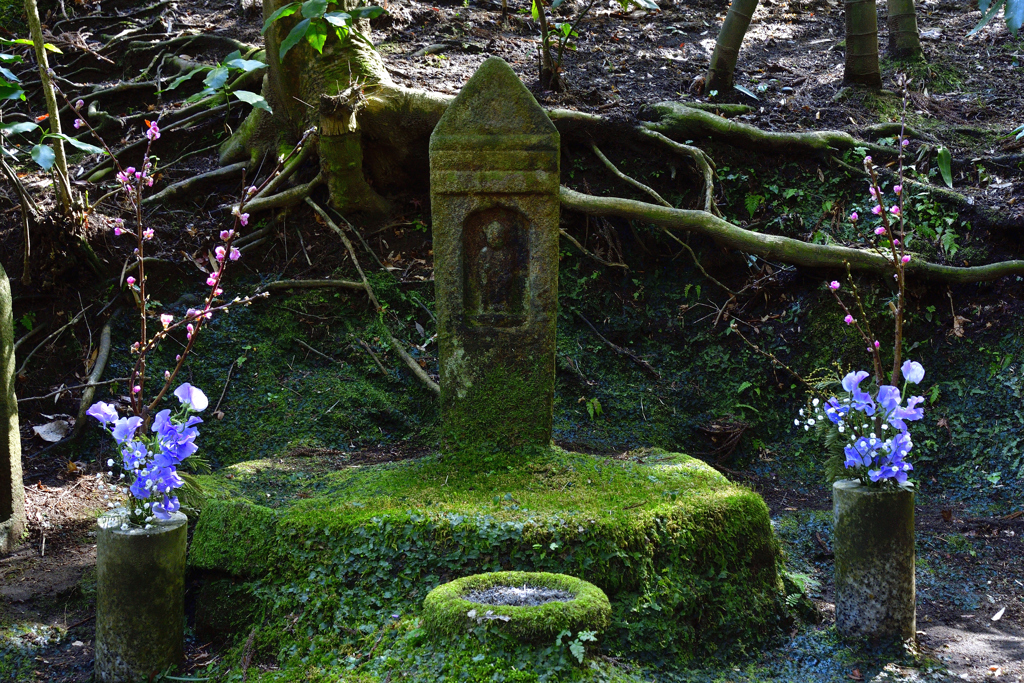 早春の古都散歩＜東慶寺＞