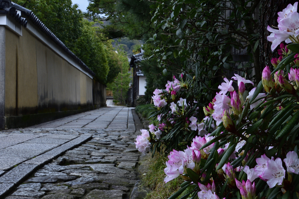石楠花の小路