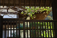 初春の北鎌倉＜円覚寺＞ーⅡ